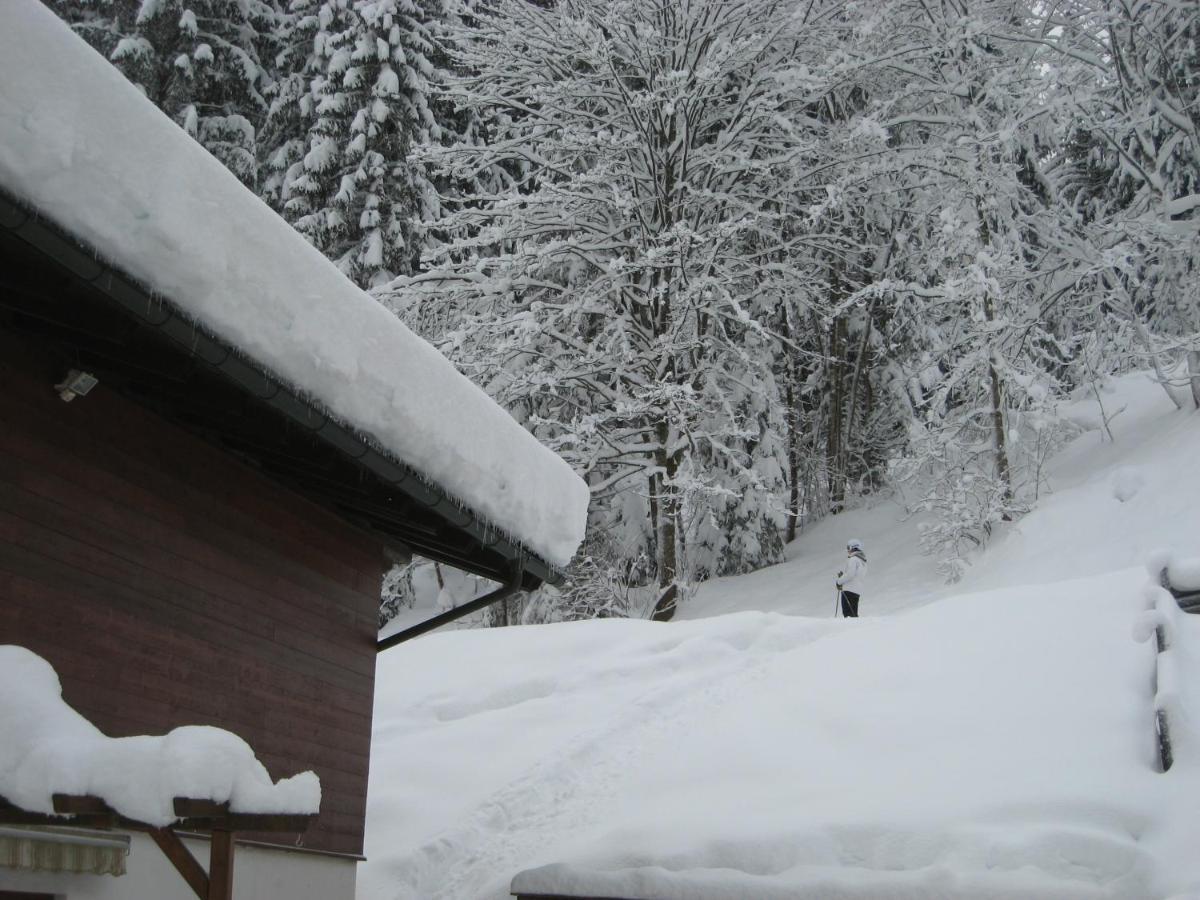 Ski-in / Ski-out Chalet Kriekels by Alpen Apartments Zell am See Eksteriør bilde
