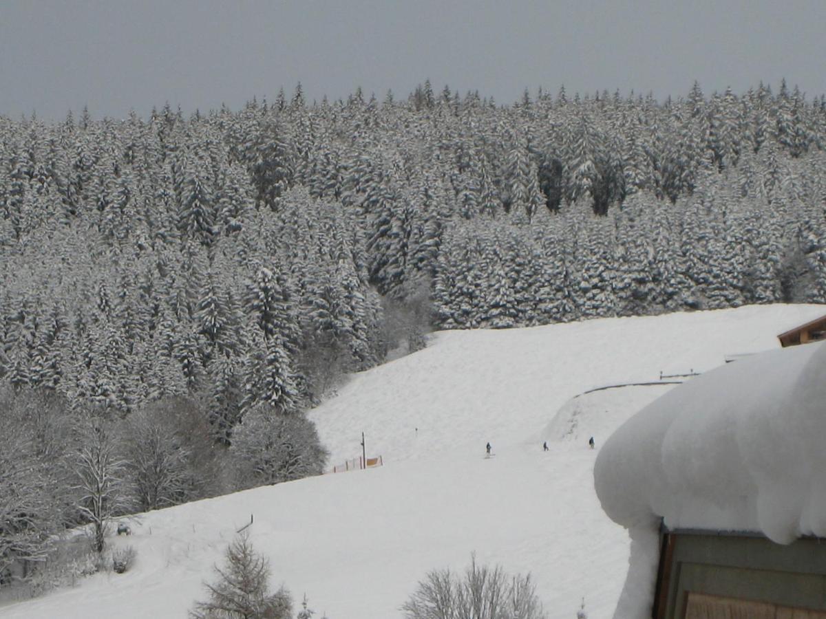 Ski-in / Ski-out Chalet Kriekels by Alpen Apartments Zell am See Eksteriør bilde